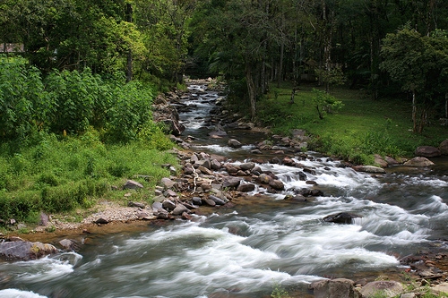 Serra do Itajaí National Park